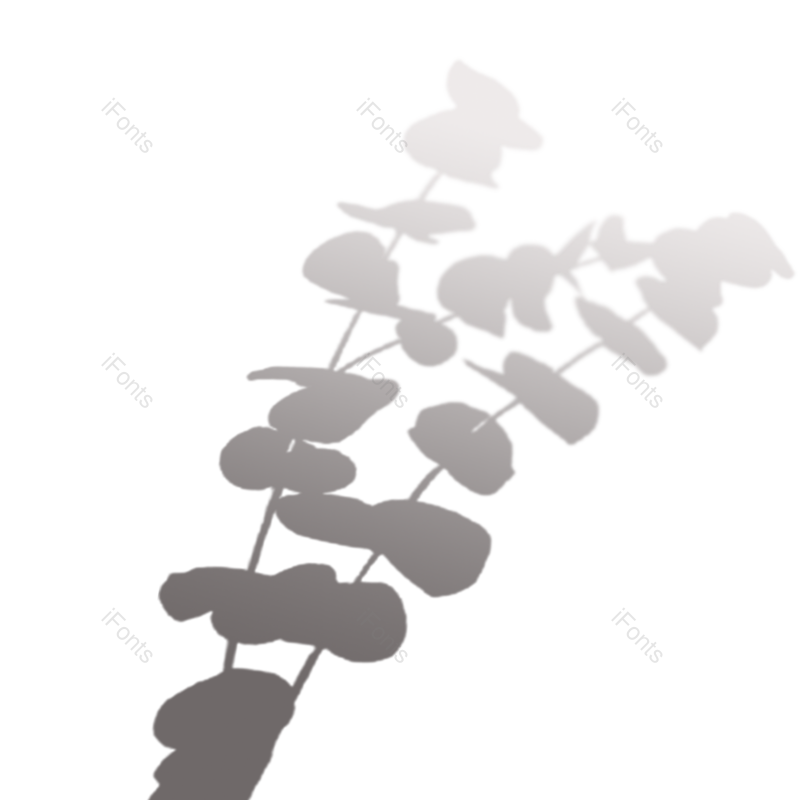 叶子图片,树叶元素,阴影PNG,灰色免抠素材